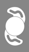 lens icon