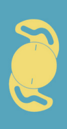 lens icon