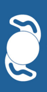 lens icon