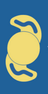 lens icon