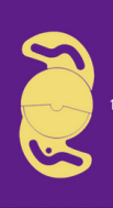 lens icon